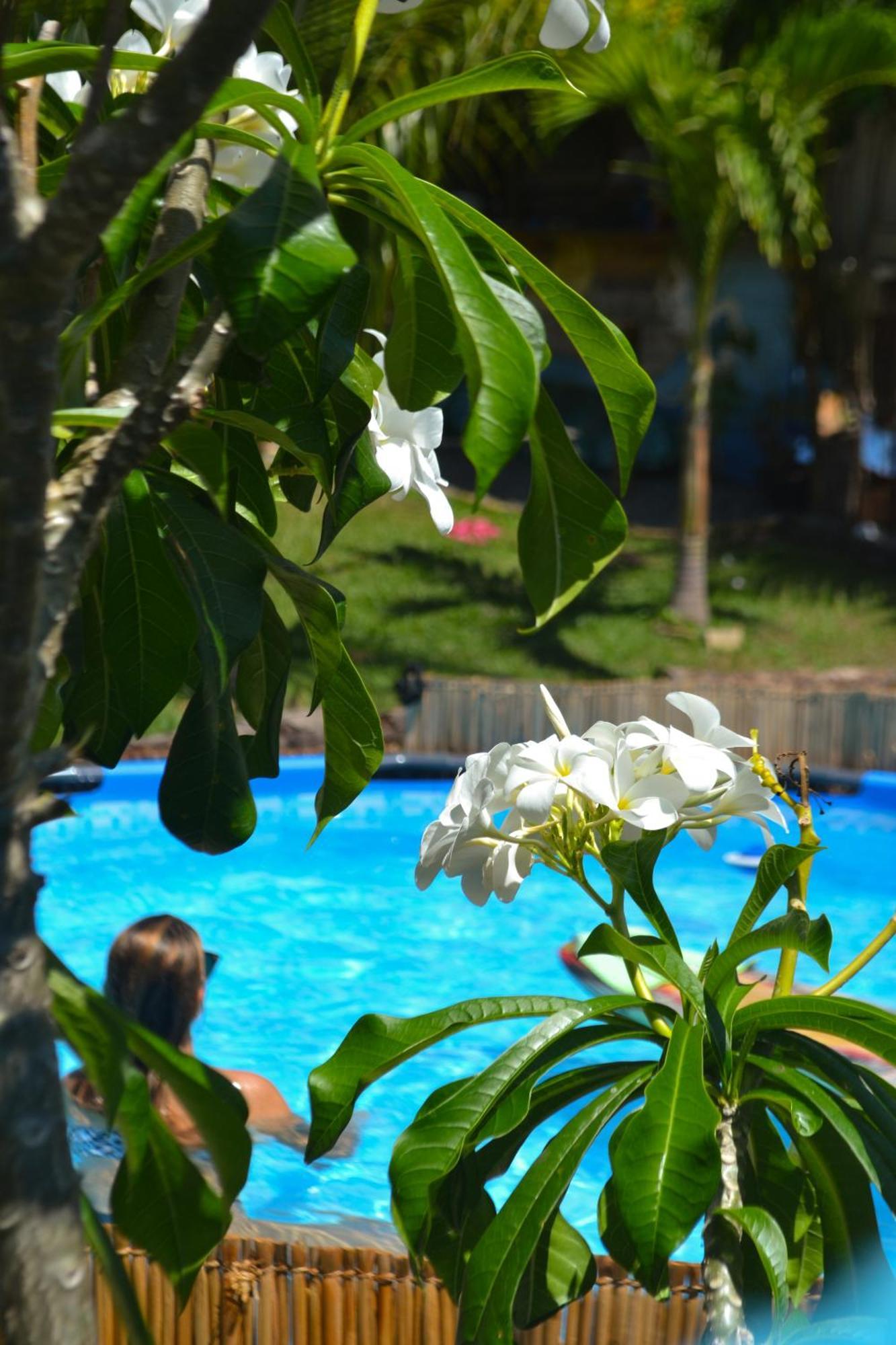 Back To The Beach Hostel - Pipa Praia de Pipa Экстерьер фото